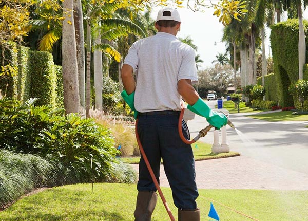 About Garland UT Pest Control